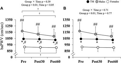 Effects of acute aerobic exercise on arterial stiffness in transgender men